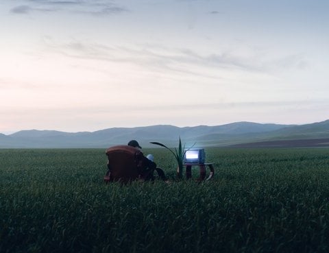 people sitting on grass field during daytime