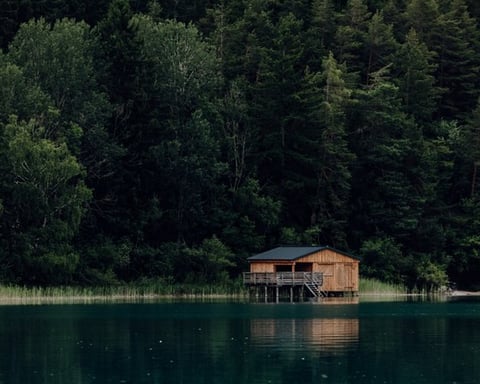 brown wooden house on lake