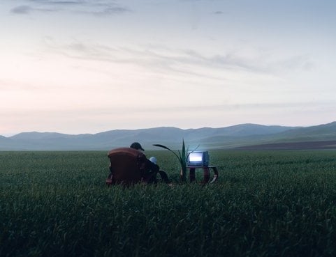 people sitting on grass field during daytime