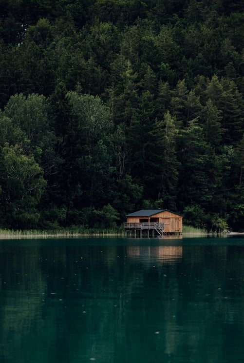 brown wooden house on lake
