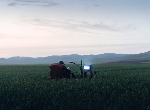 people sitting on grass field during daytime