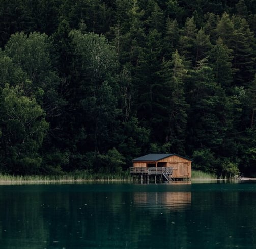 brown wooden house on lake