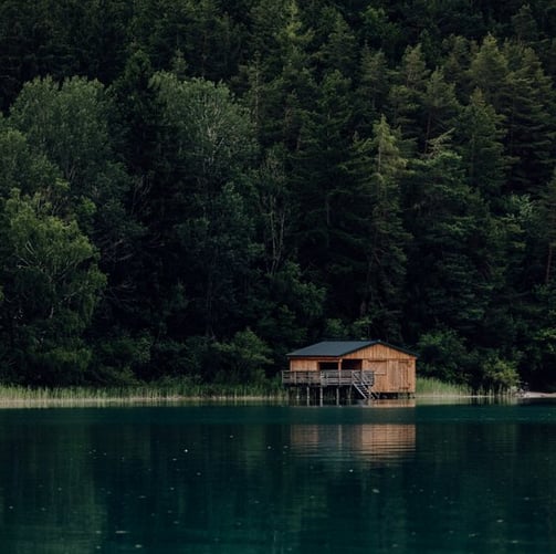 brown wooden house on lake