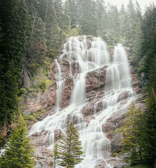 water falls in the forest