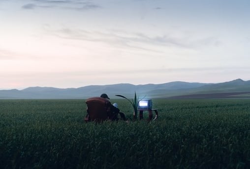 people sitting on grass field during daytime