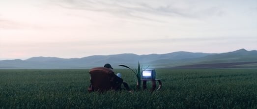 people sitting on grass field during daytime