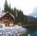 brown wooden house near lake surrounded by green trees during daytime