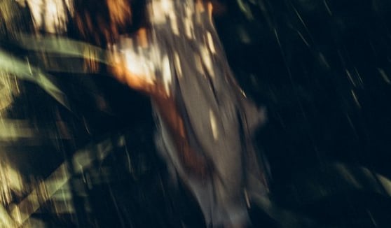 woman in white and brown dress standing on green grass during night time