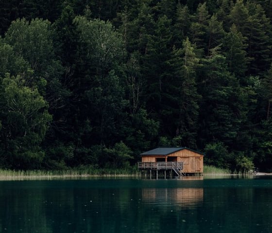 brown wooden house on lake