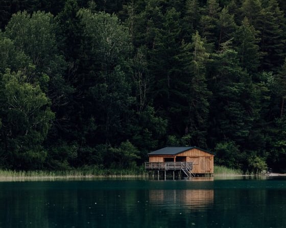 brown wooden house on lake