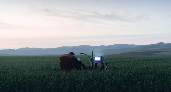 people sitting on grass field during daytime