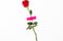 red rose with green leaves