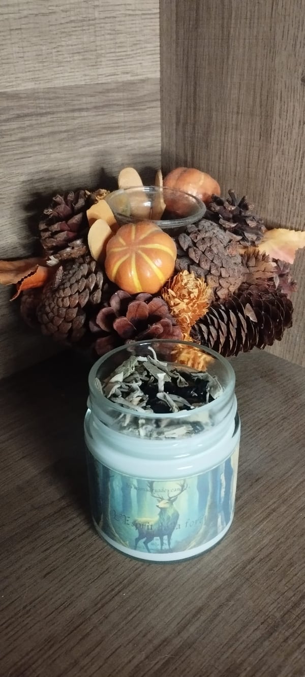 L'esprit de la forêt