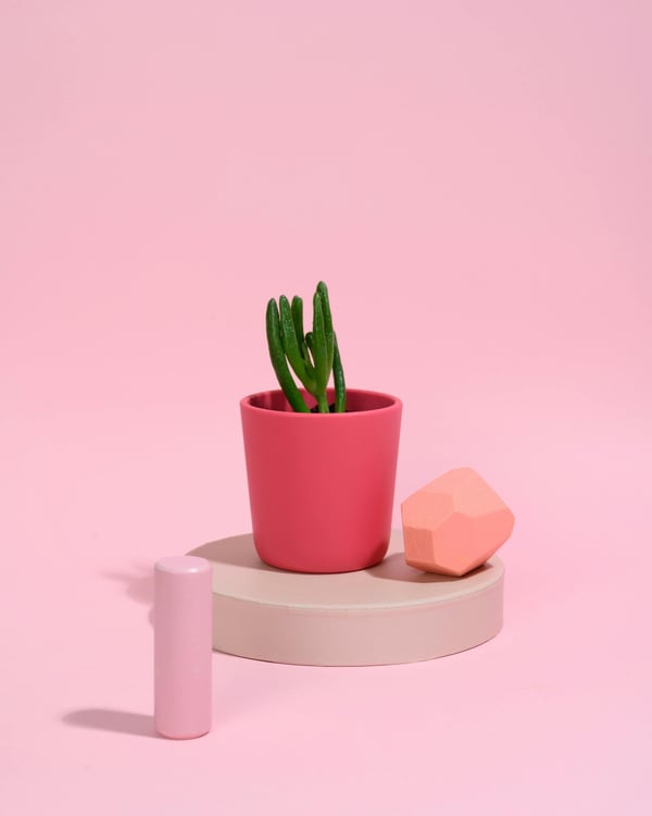 'Balance' Vase