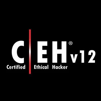 コンピュータ・IT CEH EC-Council Ethical Hacking v12 コンピュータ・IT CEH EC-Council Ethical Hacking v12