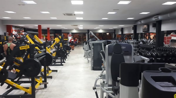 Galería 2