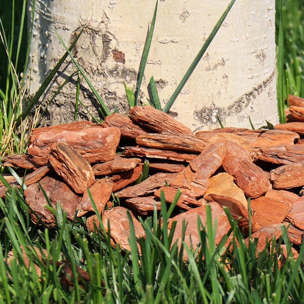 Pine Bark for Garden Landscaping