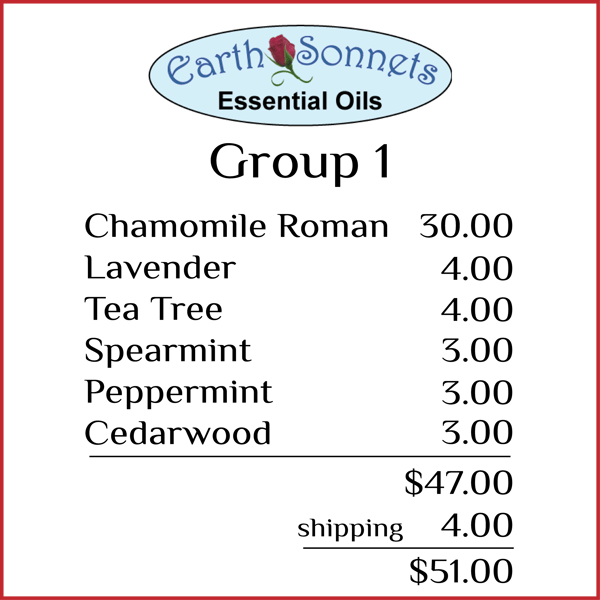 Group 01 - closeout oils
