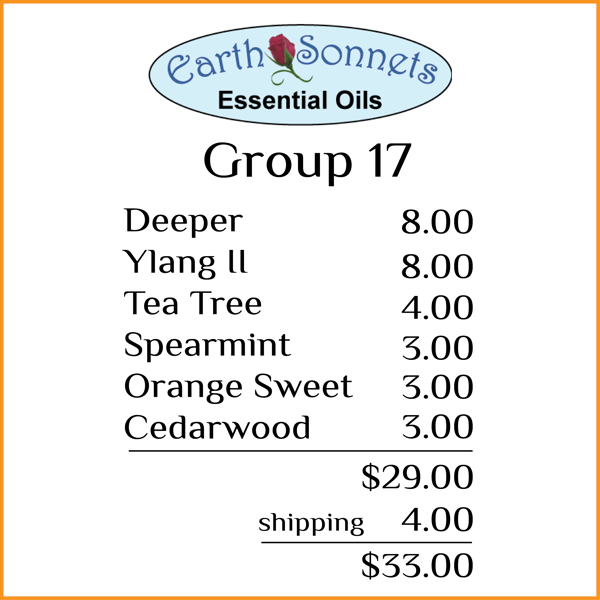 Group 17 - closeout oils