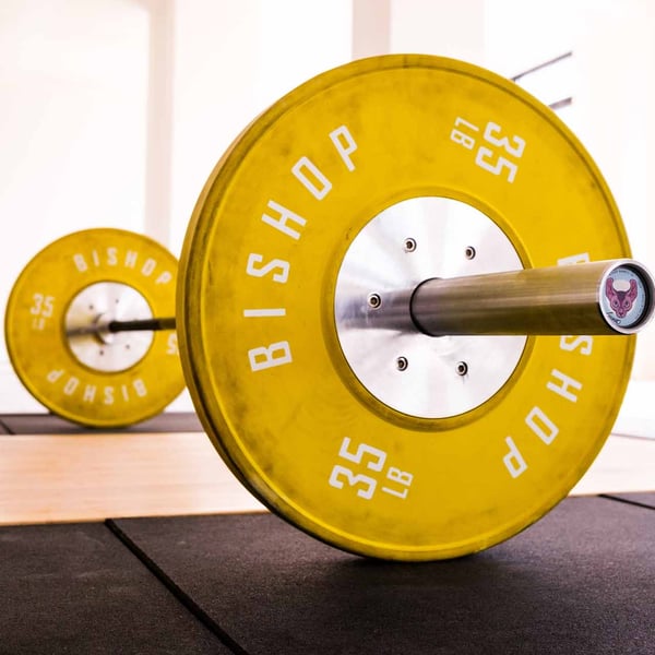 Women's 35 lb discount barbell