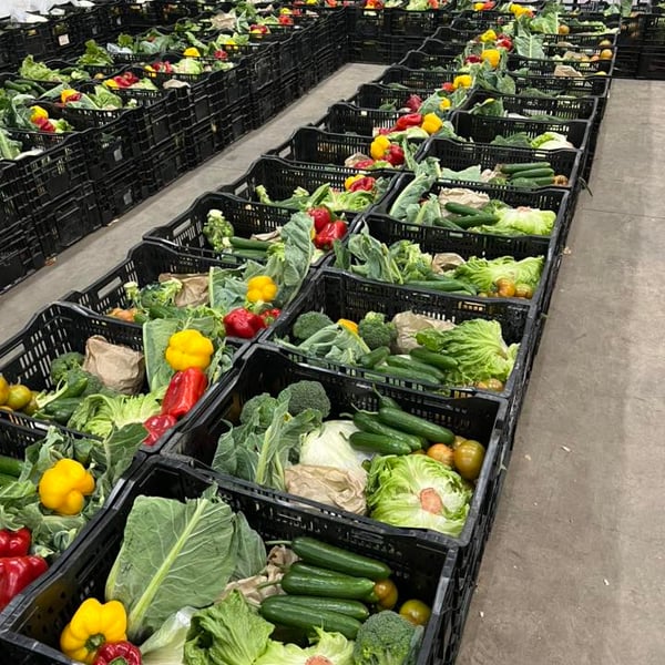 Mixed Fruit & vegetable baskets are 65 Geelong Fruit And Veg