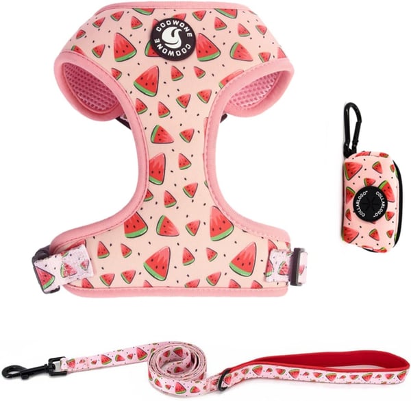Dog Harness and Leash Poop Bag Holder 3 Sets Easy Walk No Pull Adjustable Puppy Cat Vest Harness with Soft Mesh Padded Pet Supplies for Extra Small Small Medium Dogs Kitten SIKU