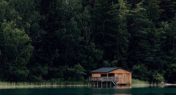 brown wooden house on lake