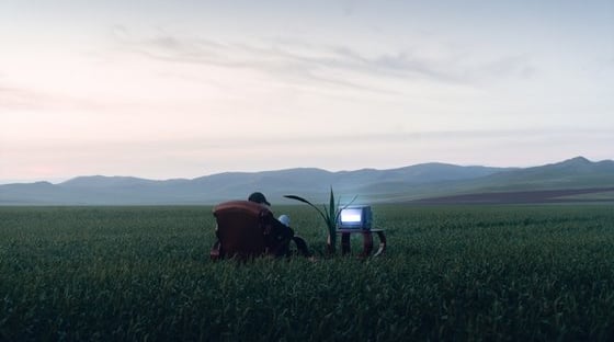 people sitting on grass field during daytime