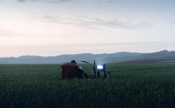 people sitting on grass field during daytime