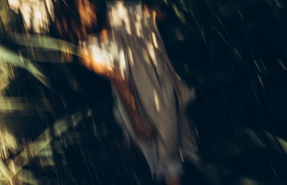 woman in white and brown dress standing on green grass during night time