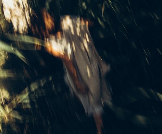 woman in white and brown dress standing on green grass during night time