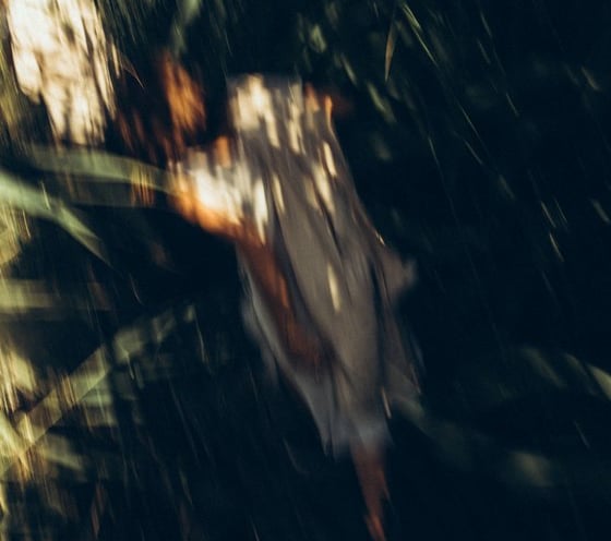 woman in white and brown dress standing on green grass during night time
