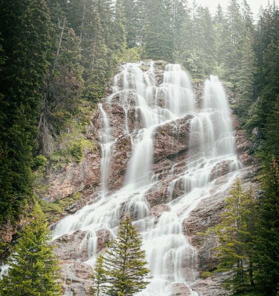 water falls in the forest