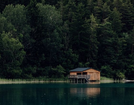brown wooden house on lake