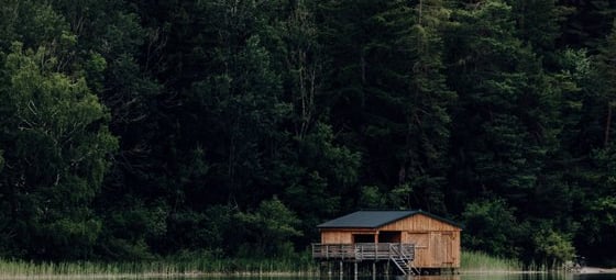 brown wooden house on lake