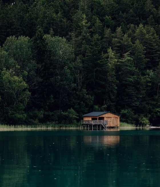 brown wooden house on lake