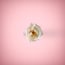 White flower in pink background
