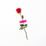 red rose with green leaves