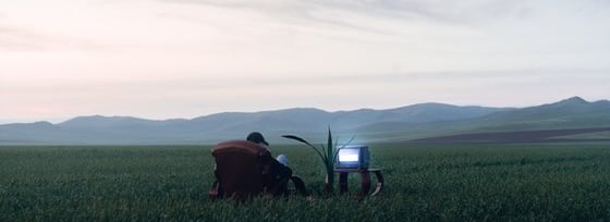 people sitting on grass field during daytime
