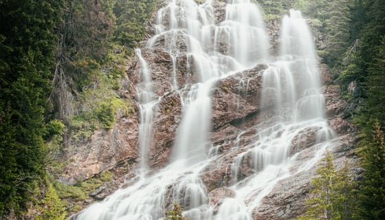 water falls in the forest