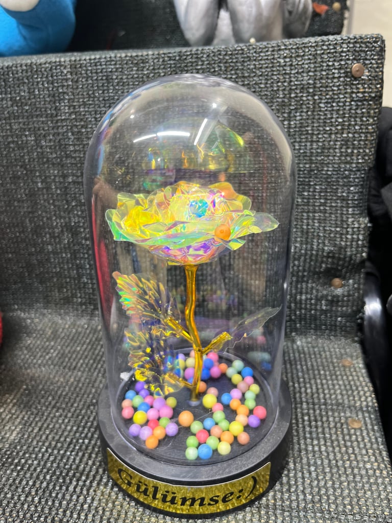 Dekoratif Cam Fanus İçinde sonsuzluk gülü