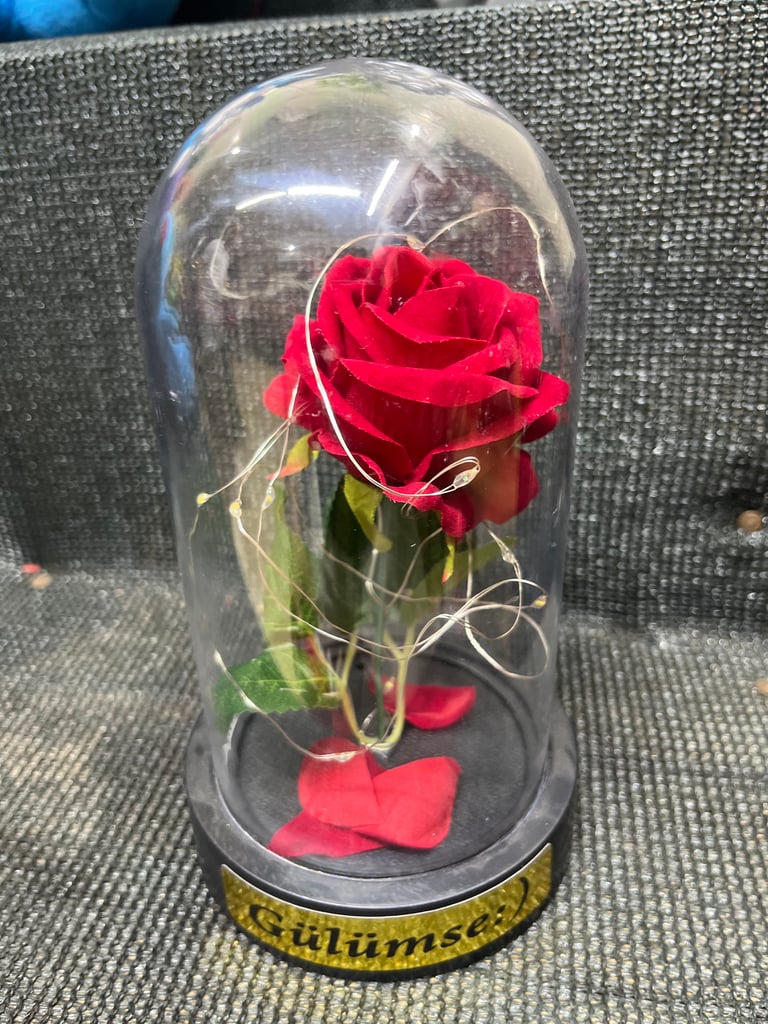 Cam Fanusta Kırmızı Gül Işıklı