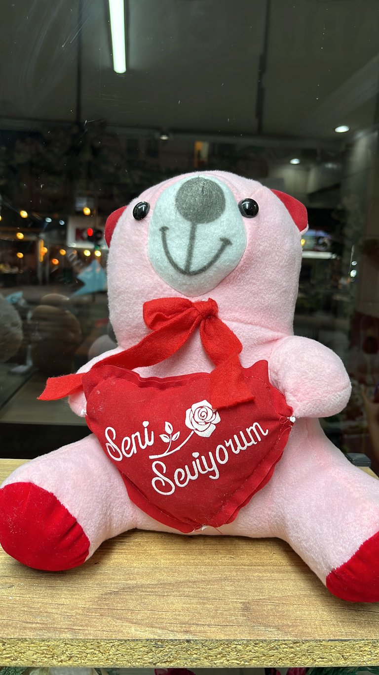 Pembe Peluş Ayıcık