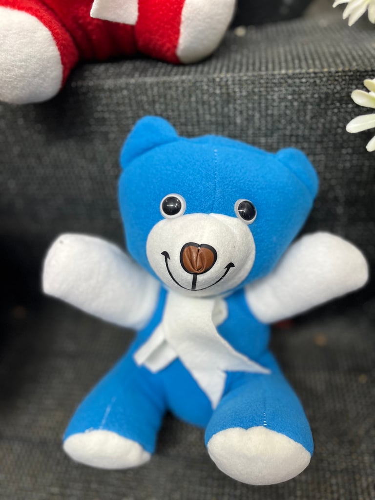 Mavi Peluş Ayıcık