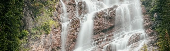 water falls in the forest