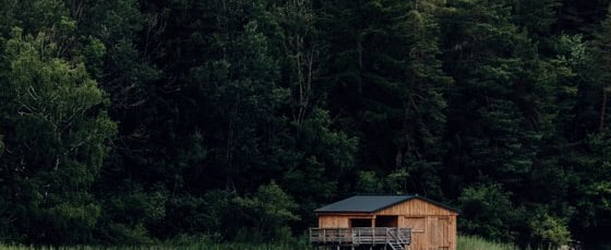 brown wooden house on lake