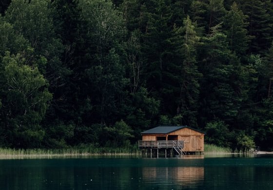brown wooden house on lake