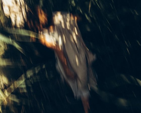 woman in white and brown dress standing on green grass during night time
