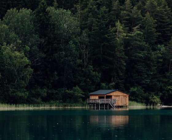 brown wooden house on lake
