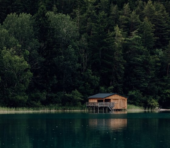 brown wooden house on lake